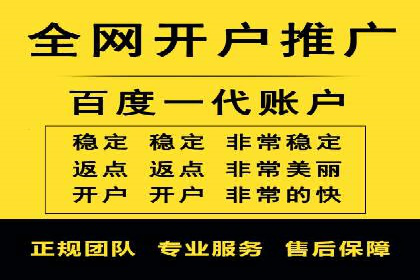 搜索引擎营销（SEM）成功案例详解